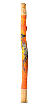 Lionel Phillips Didgeridoo (JW1155)